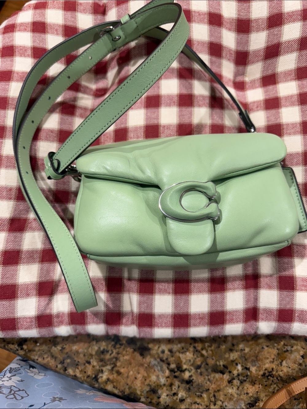 Coach Mint Green Leather C-Buckle Crossbody